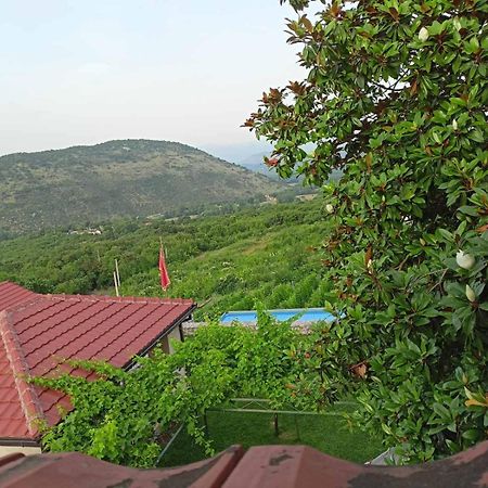 Green Silence - Iva Danilovgrad Ngoại thất bức ảnh
