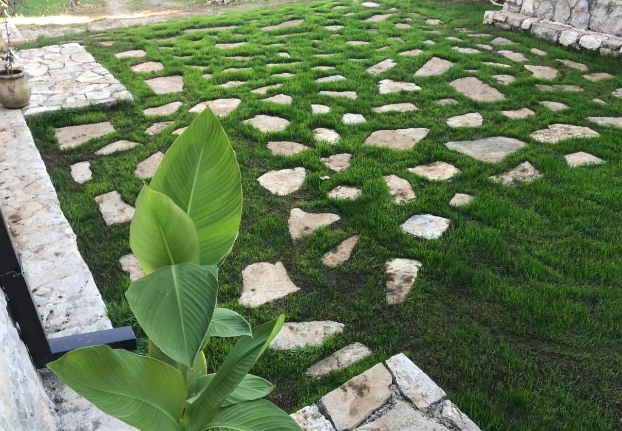 Green Silence - Iva Danilovgrad Ngoại thất bức ảnh